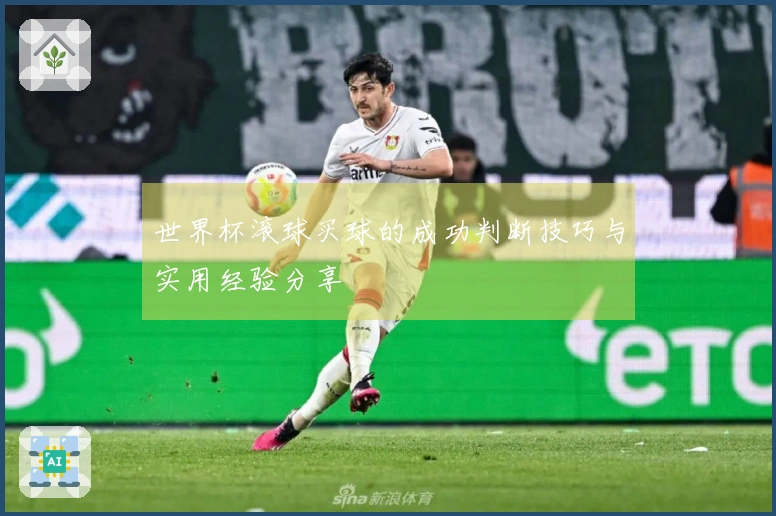 世界杯滚球买球的成功判断技巧与实用经验分享