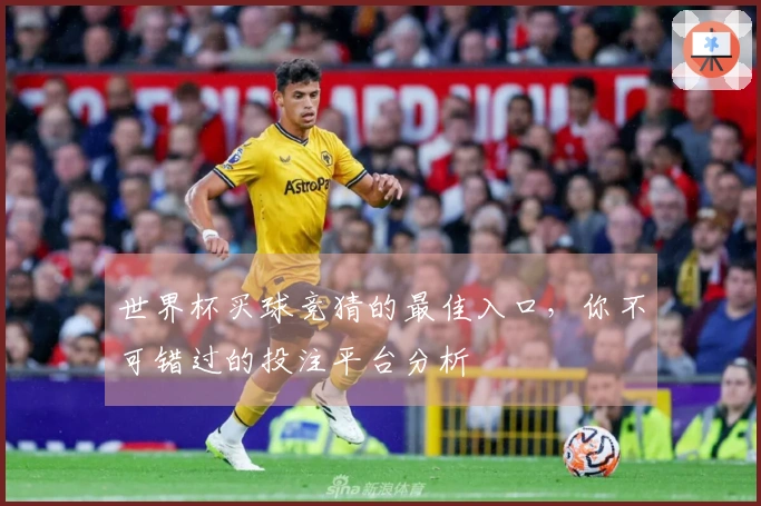 世界杯买球竞猜的最佳入口，你不可错过的投注平台分析