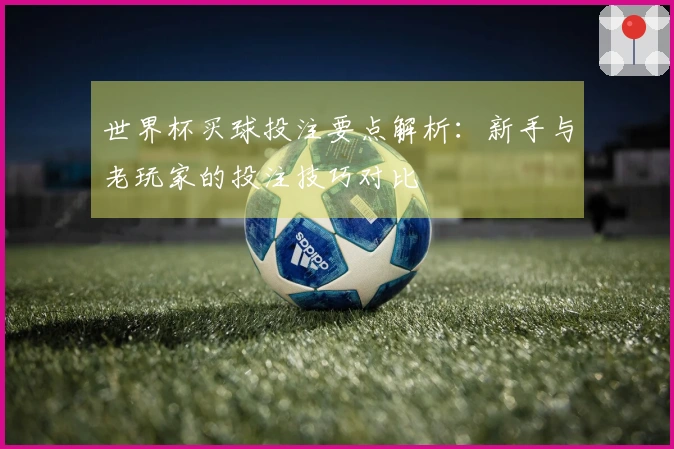 世界杯买球投注要点解析：新手与老玩家的投注技巧对比