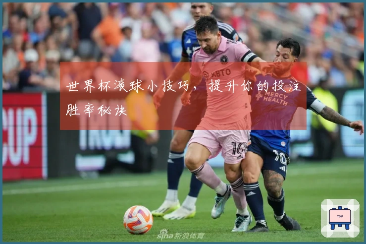 世界杯滚球小技巧，提升你的投注胜率秘诀
