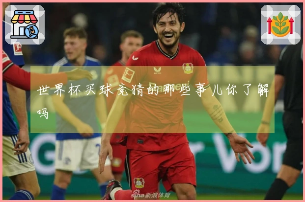 世界杯买球竞猜的那些事儿你了解吗